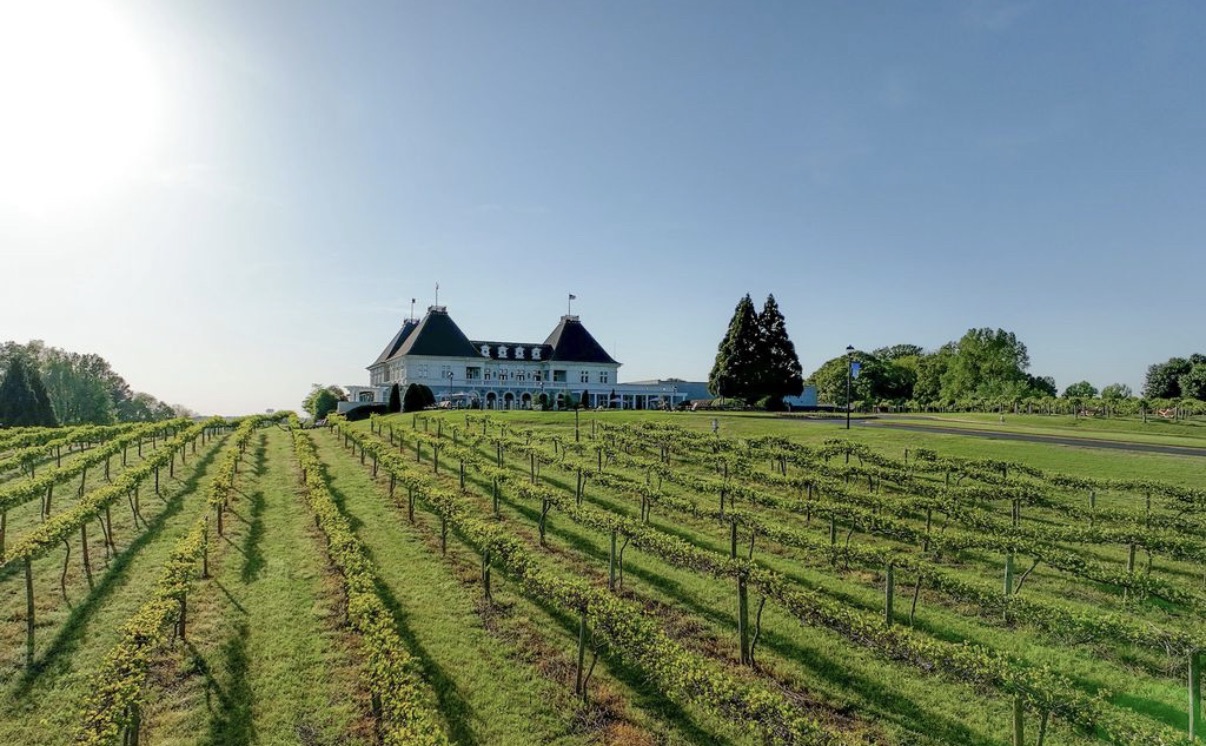 Chateau Elan winery chateau behind rows of vineyard