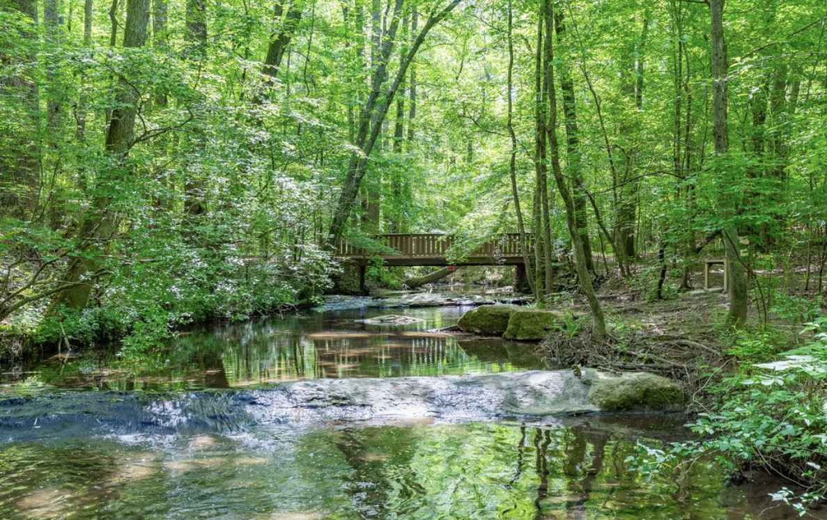 Creek and footbridge along the Rivermist trails